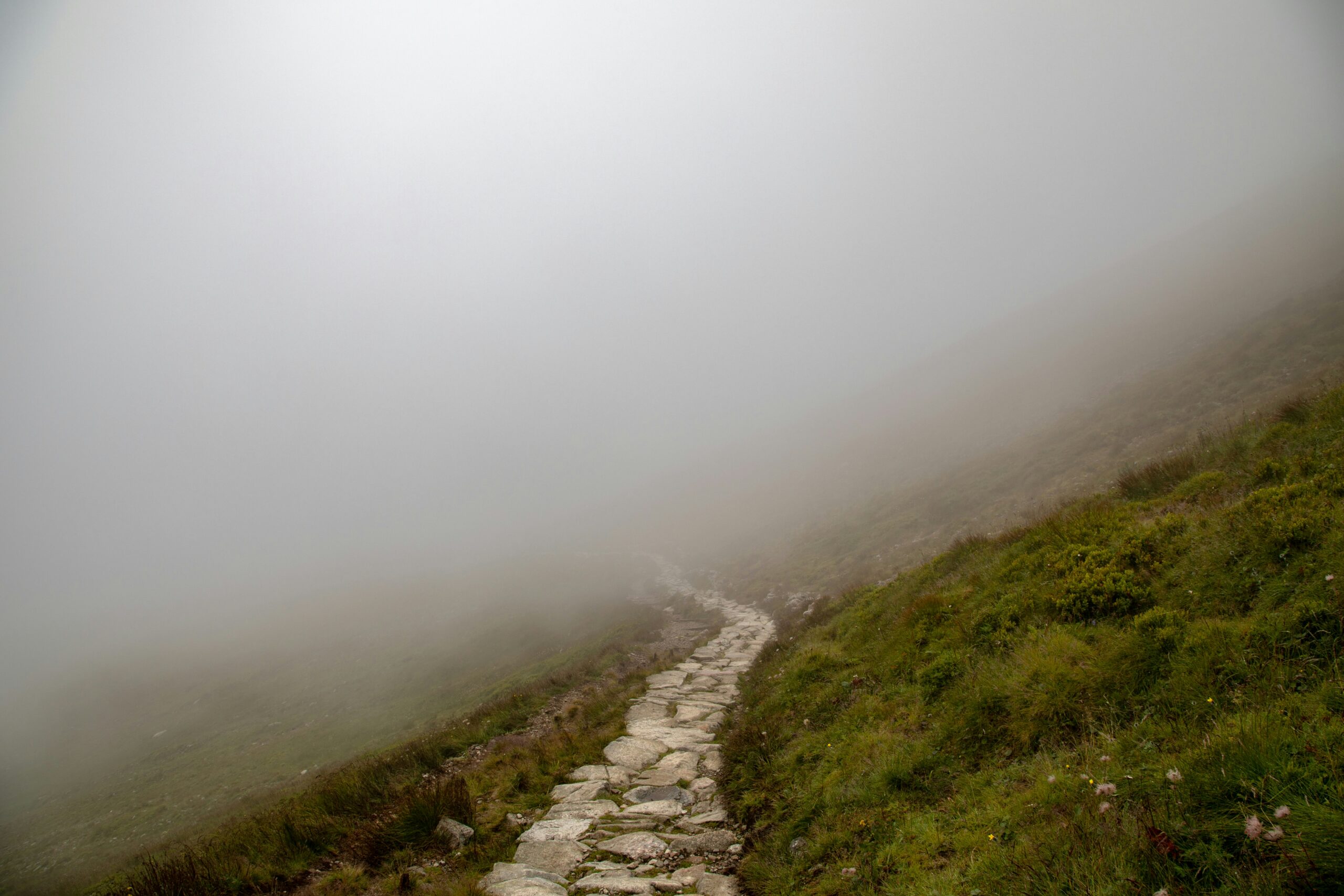 uncertainty in the mist